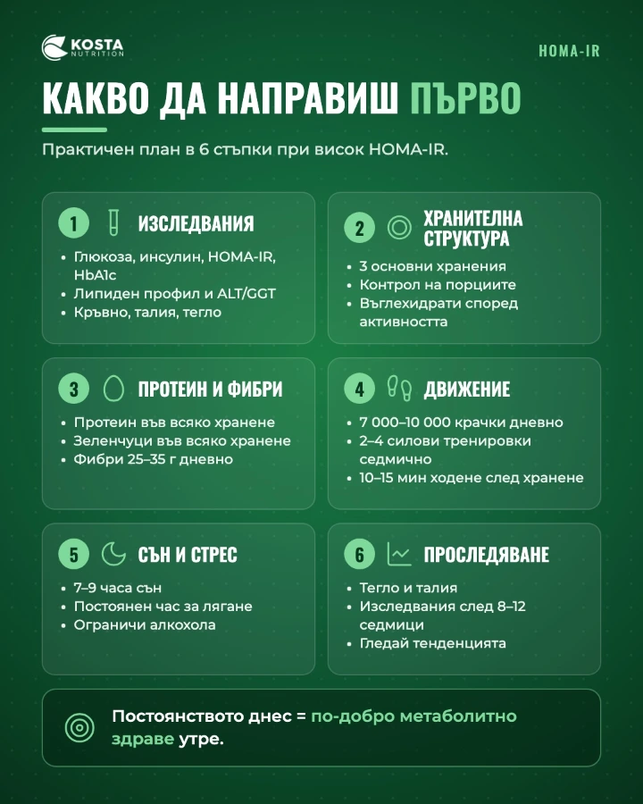 Какво да направиш първо при висок HOMA-IR